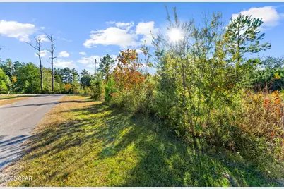 Tbd Pear Street, Wewahitchka, FL 32465 - Photo 8
