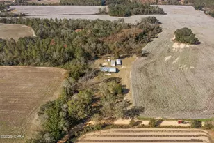 4659 Barron Rd, Graceville, FL 32440 - Photo 32