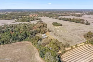 4659 Barron Rd, Graceville, FL 32440 - Photo 34