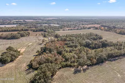 4659 Barron Road, Graceville, FL 32440 - Photo 36