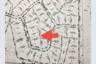 Lot 9 Adams Drive, Alford, FL 32420 - Photo 4