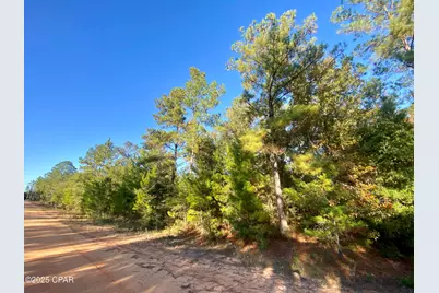 Lot 9 Adams Drive, Alford, FL 32420 - Photo 2