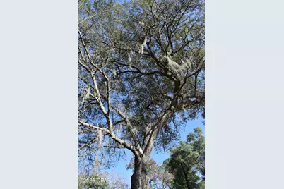 2461 Angelena Court, Chipley, FL 32428 - Photo 26