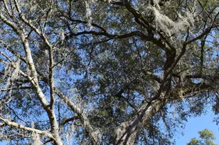 2461 Angelena Ct, Chipley, FL 32428 - Photo 26