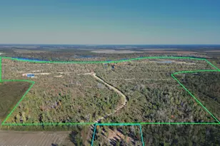 0 Parramore Rd, Sneads, FL 32460 - Photo 1