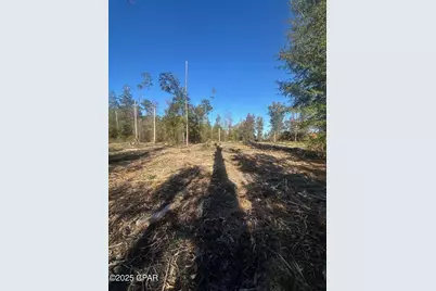 0 Parramore Road, Sneads, FL 32460 - Photo 12