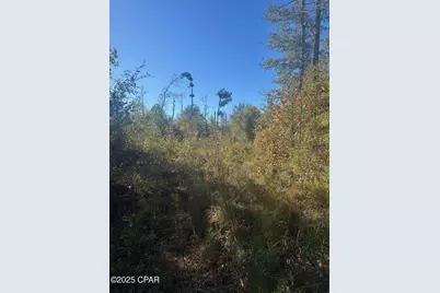 0 Parramore Road, Sneads, FL 32460 - Photo 14