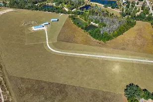 16728 NW John F Bailey Rd, Blountstown, FL 32424 - Photo 32