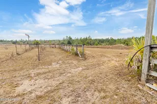 22875 NW Parker Ln, Altha, FL 32421 - Photo 54