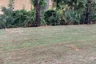 1817 Balboa Ave, Panama City, FL 32405 - Photo 30