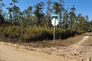 11941 Evergreen St, Fountain, FL 32438 - Photo 1