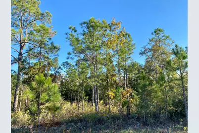 Lot 128 Nezperce Drive, Alford, FL 32420 - Photo 2