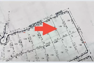Lot 128 Nezperce Drive, Alford, FL 32420 - Photo 4