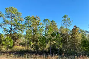 Lot 128 Nezperce Dr, Alford, FL 32420 - Photo 1