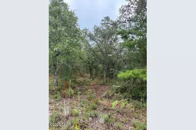 0 NW White Road, Altha, FL 32421 - Photo 1