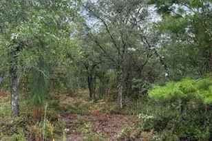 0 NW White Rd, Altha, FL 32421 - Photo 1