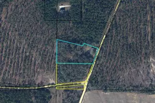 1850 N Holmes Creek Rd, Graceville, FL 32440 - Photo 2