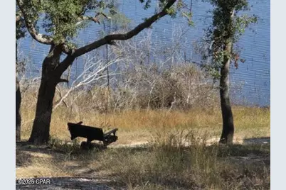 3457 Quail Ridge Drive, Chipley, FL 32428 - Photo 4