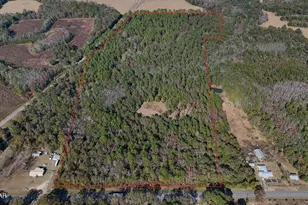 50+- Ac Hwy 2, Bonifay, FL 32425 - Photo 1