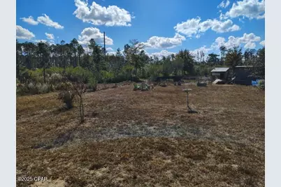 22884 NW Lake McKinzie Boulevard, Altha, FL 32421 - Photo 10