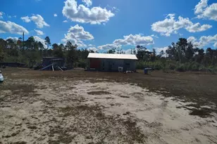 22884 NW Lake McKinzie Blvd, Altha, FL 32421 - Photo 8