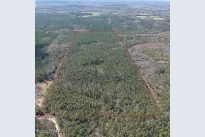 60 Acres Jw Miller Road, Bonifay, FL 32425 - Photo 1