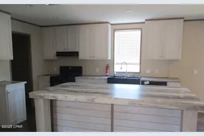 22243 NW Isoletta Lane, Altha, FL 32421 - Photo 14