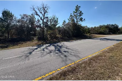 0 Elkcam Boulevard, Chipley, FL 32428 - Photo 2