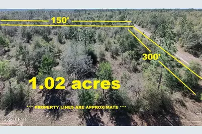 0 Elkcam Boulevard, Chipley, FL 32428 - Photo 4