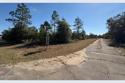 0 Elkcam Boulevard, Chipley, FL 32428 - Photo 14