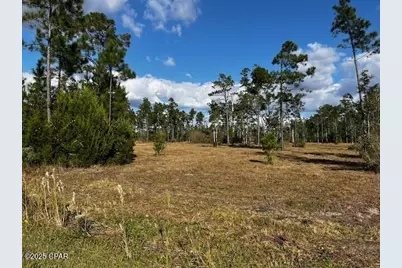 00 Jarrott Daniels Road, Wewahitchka, FL 32465 - Photo 8