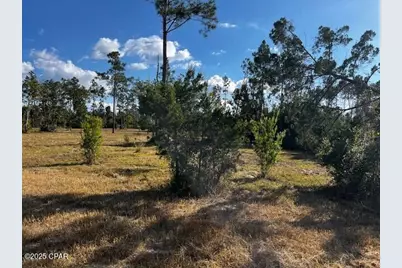 00 Jarrott Daniels Road, Wewahitchka, FL 32465 - Photo 20