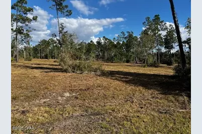 00 Jarrott Daniels Road, Wewahitchka, FL 32465 - Photo 12