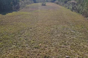 140 Elm Way, Panama City, FL 32404 - Photo 40