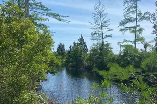 140 Elm Way, Panama City, FL 32404 - Photo 44