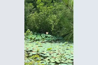 140 Elm Way, Panama City, FL 32404 - Photo 48