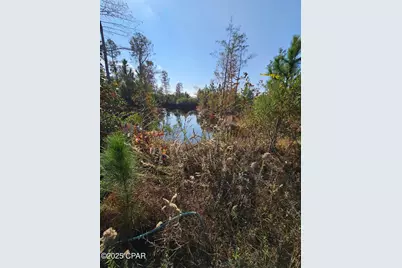 140 Elm Way, Panama City, FL 32404 - Photo 34
