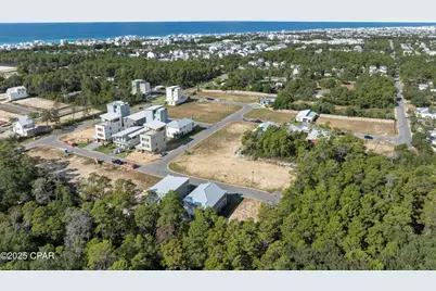 42 Asher Street #Lot 37, Inlet Beach, FL 32461 - Photo 42