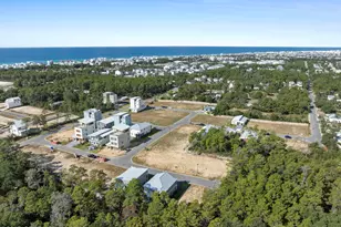 42 Asher St, Inlet Beach, FL 32461 - Photo 42