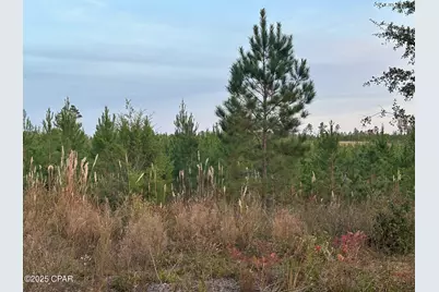 000 Bright Prospect Road, Marianna, FL 32448 - Photo 2