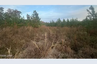 000 Bright Prospect Road, Marianna, FL 32448 - Photo 6