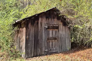 1562 Hwy 177A, Bonifay, FL 32425 - Photo 16