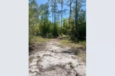 Tbd Akers Trail, Chipley, FL 32428 - Photo 6
