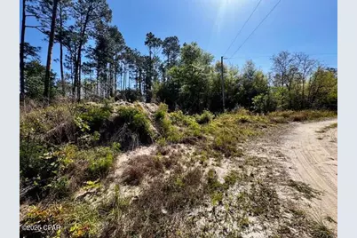 Tbd Akers Trail, Chipley, FL 32428 - Photo 10