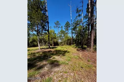 Tbd Akers Trail, Chipley, FL 32428 - Photo 4