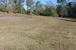 1097 Joy Meadows Cir, Bonifay, FL 32425 - Photo 38