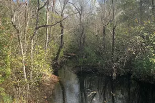 8225 SW County Road 12, Youngstown, FL 32466 - Photo 64