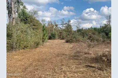 8225 SW County Road 12, Youngstown, FL 32466 - Photo 66