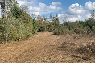 8225 SW County Road 12, Youngstown, FL 32466 - Photo 66