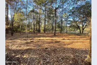 1555 Highway 177A, Bonifay, FL 32425 - Photo 1